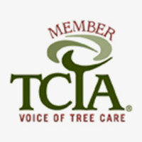 TCIA Member TCIA Member