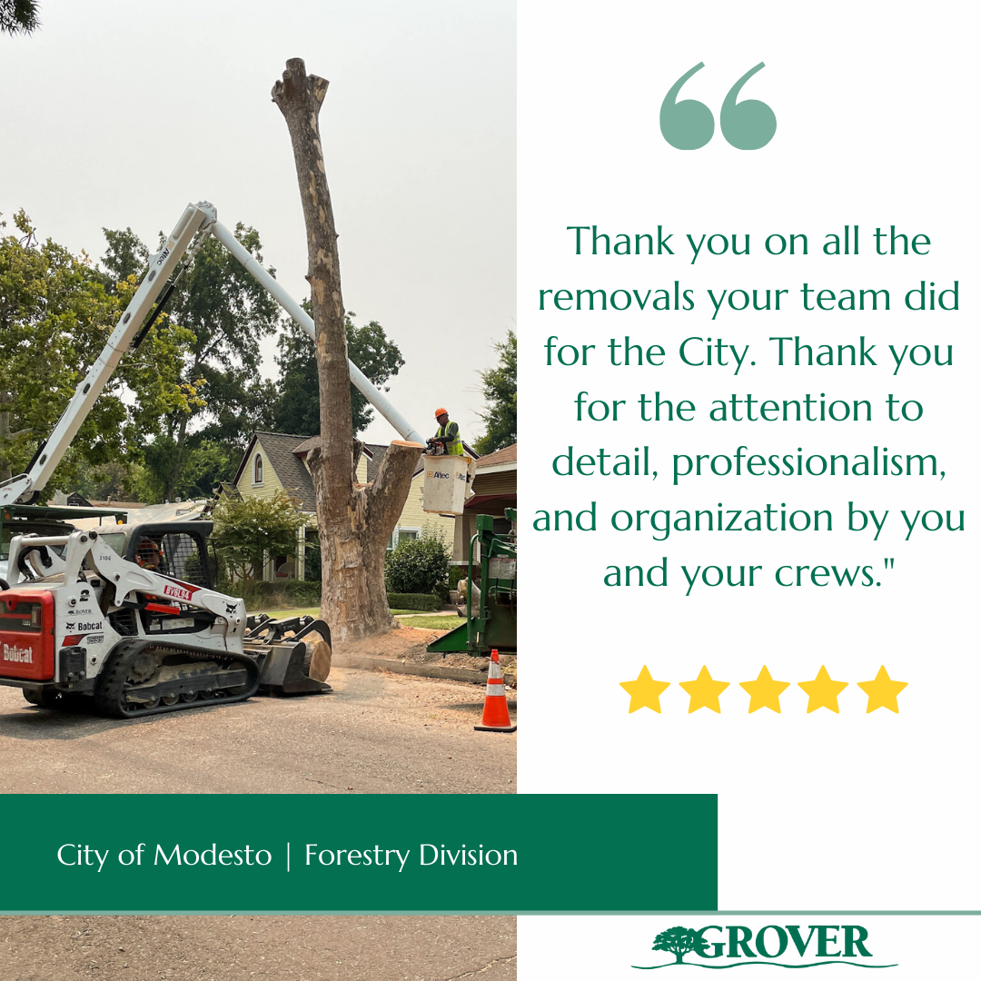 Review City Of Modesto